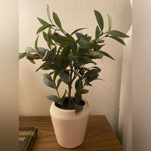 fake olive tree plant